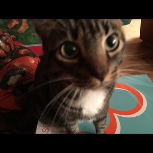 Meet your Posher, Robin